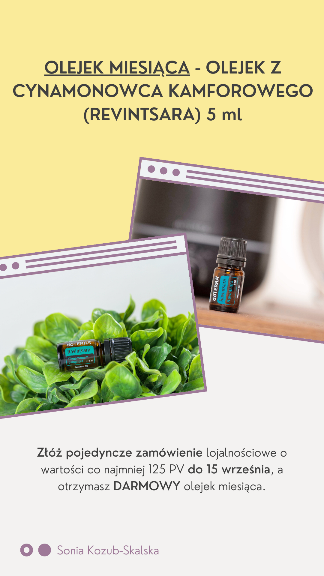 A visual depiction of the engaging Instagram stories crafted for Sonia Kozub-Skalska by Sprobuj Digital Agency, adding a dynamic element to her online storytelling and engagement.