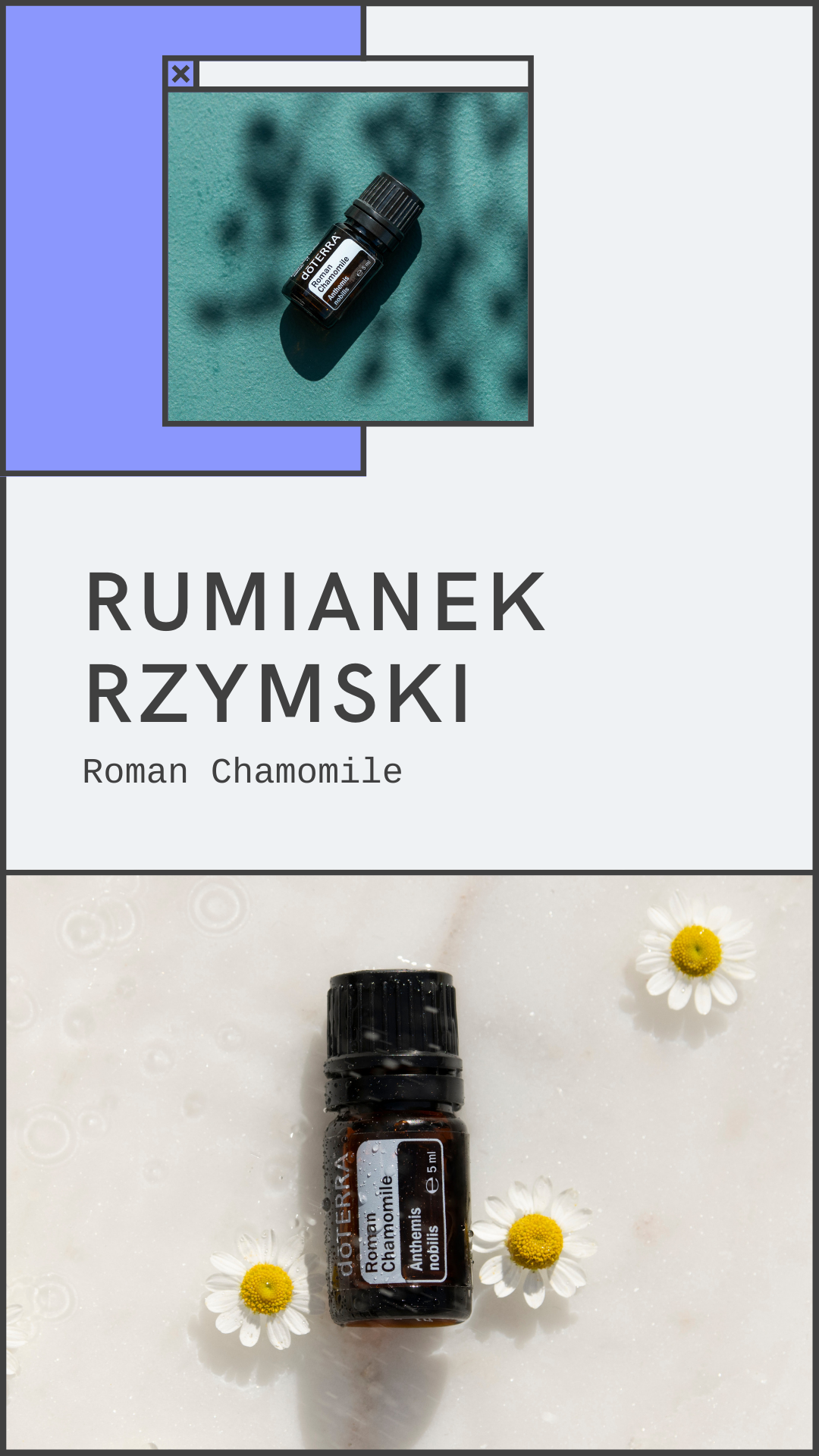 A visual depiction of the engaging Instagram stories crafted for Sonia Kozub-Skalska by Sprobuj Digital Agency, adding a dynamic element to her online storytelling and engagement.